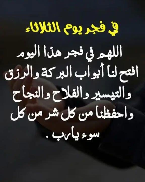 عبدالله الغامدي tweet media