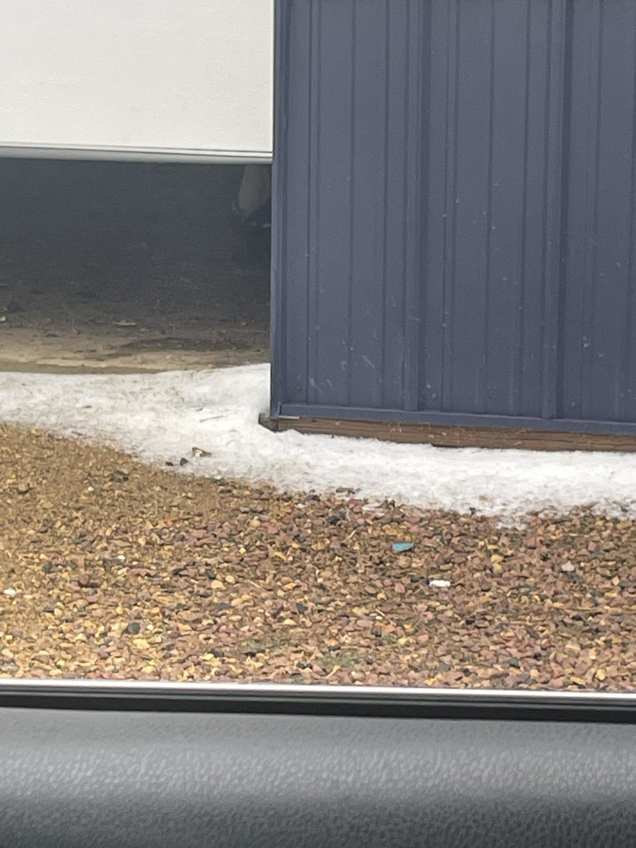 ~605~ ShittalkerFFS tweet media