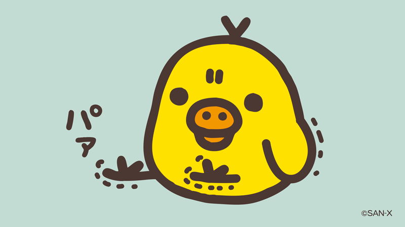 🐥0のつく日はキイロイトリの日🐥 足のストレッチ中🐥🦵