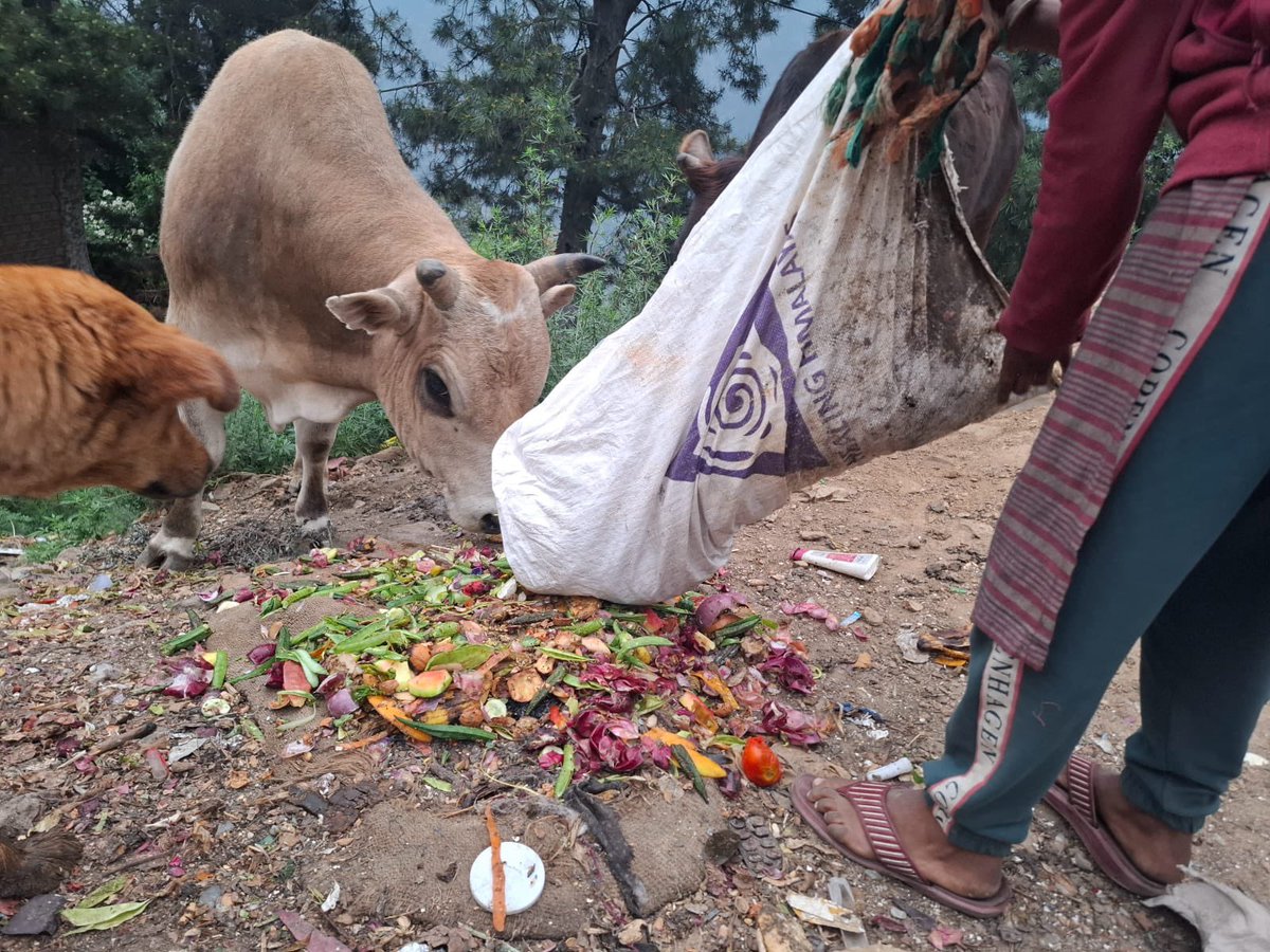 iPradeepSangwan's tweet photo. If waste is segregated how many cows can be fed on a daily basis 

Every household must reintroduce this simple lifestyle practice to keep the solid waste segregated 

#HealingHimalayas #Kullu #ParvatiValley https://t.co/ala5y6Jx7w