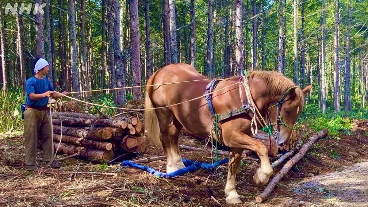 【匿名発送】木工品　置物　アンティーク　北海農耕馬　北海道の馬