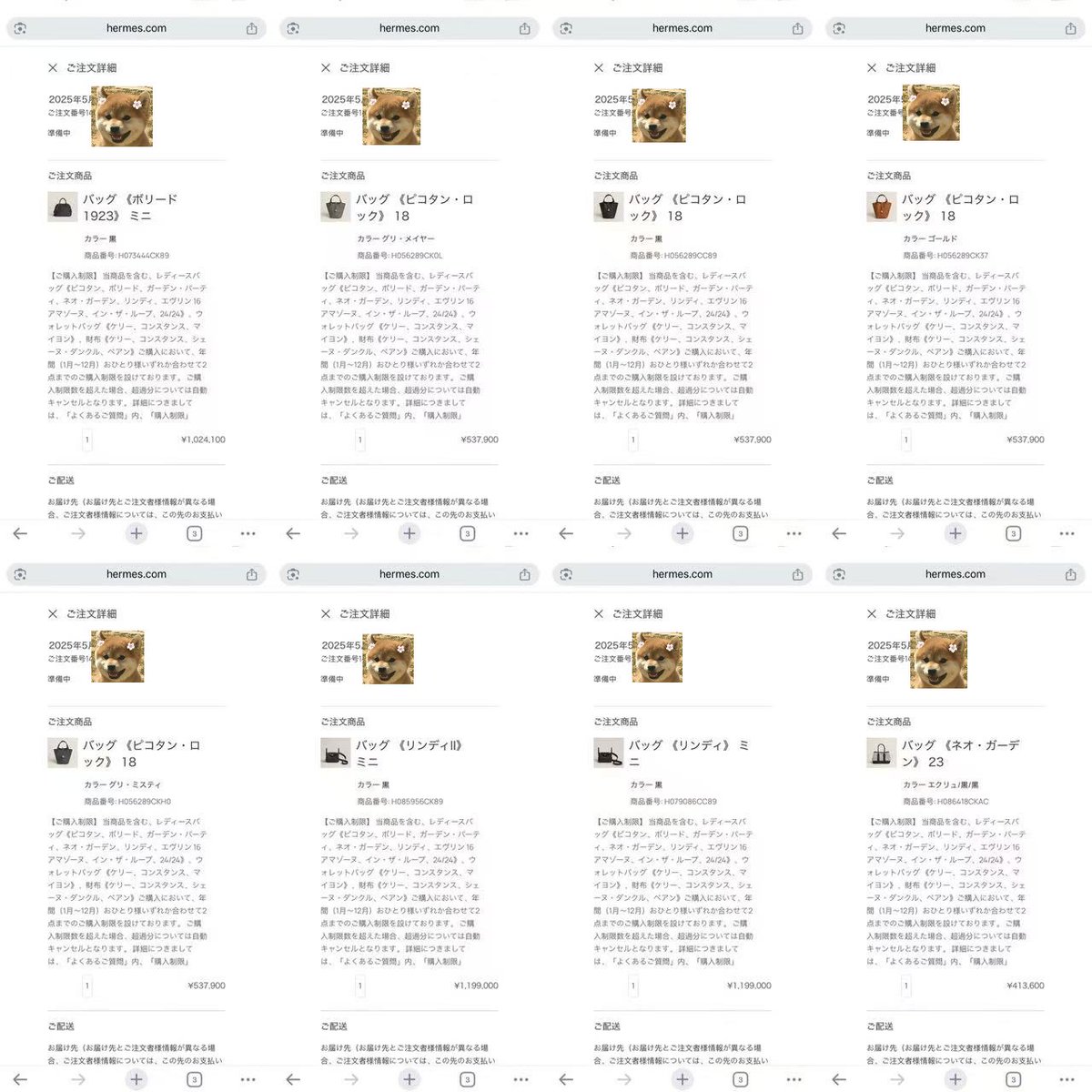 エルパト tweet media