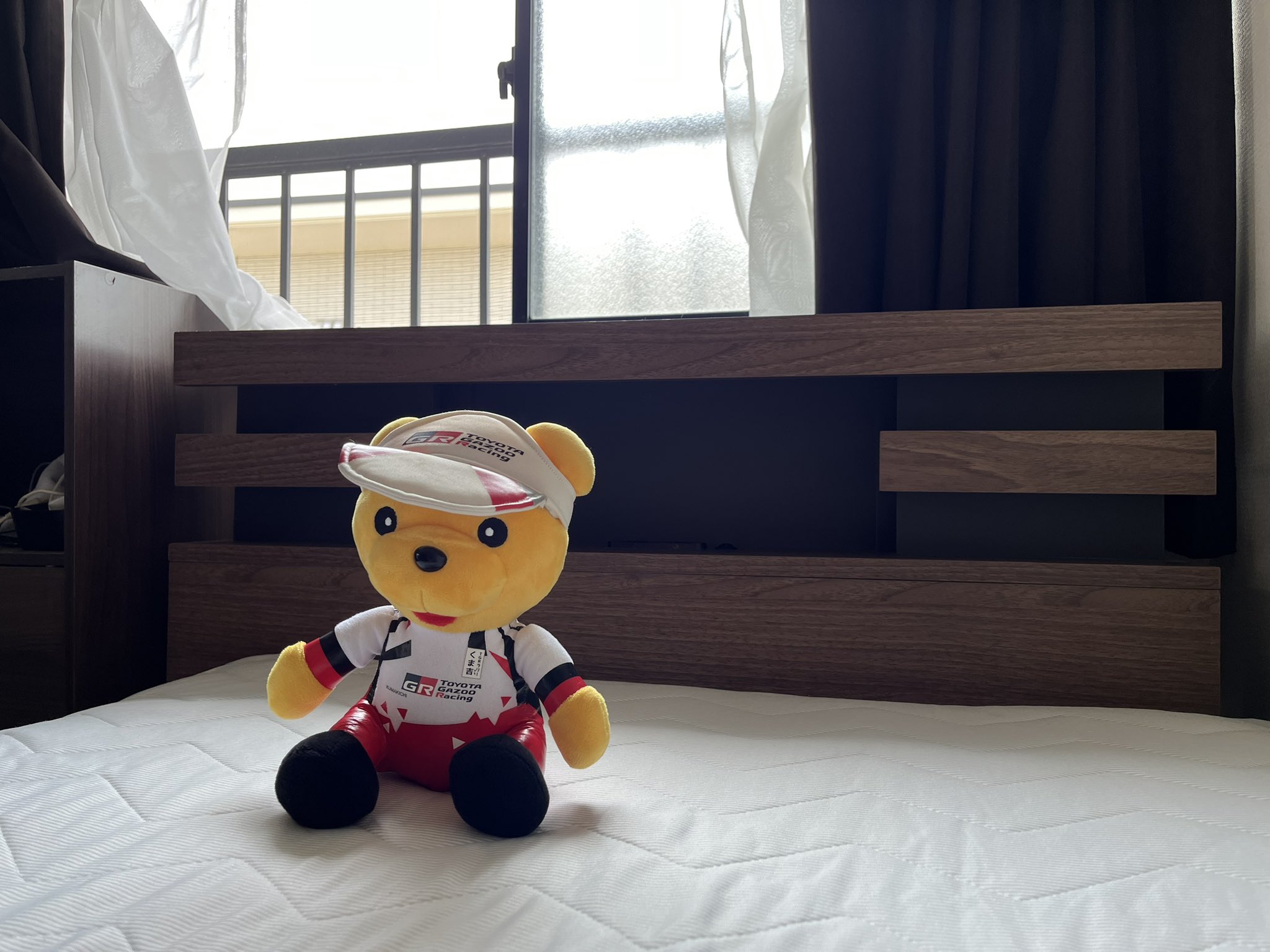 楽天市場】ぬいぐるみ クマ 花束 抱きつきアニマル くまの