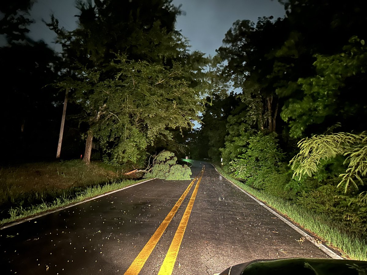 _TwistedNature's tweet image. Large tree limb down on West Ash Street in Pottsville, AR. Time 10:15 PM CDT. @NWSLittleRock #arwx