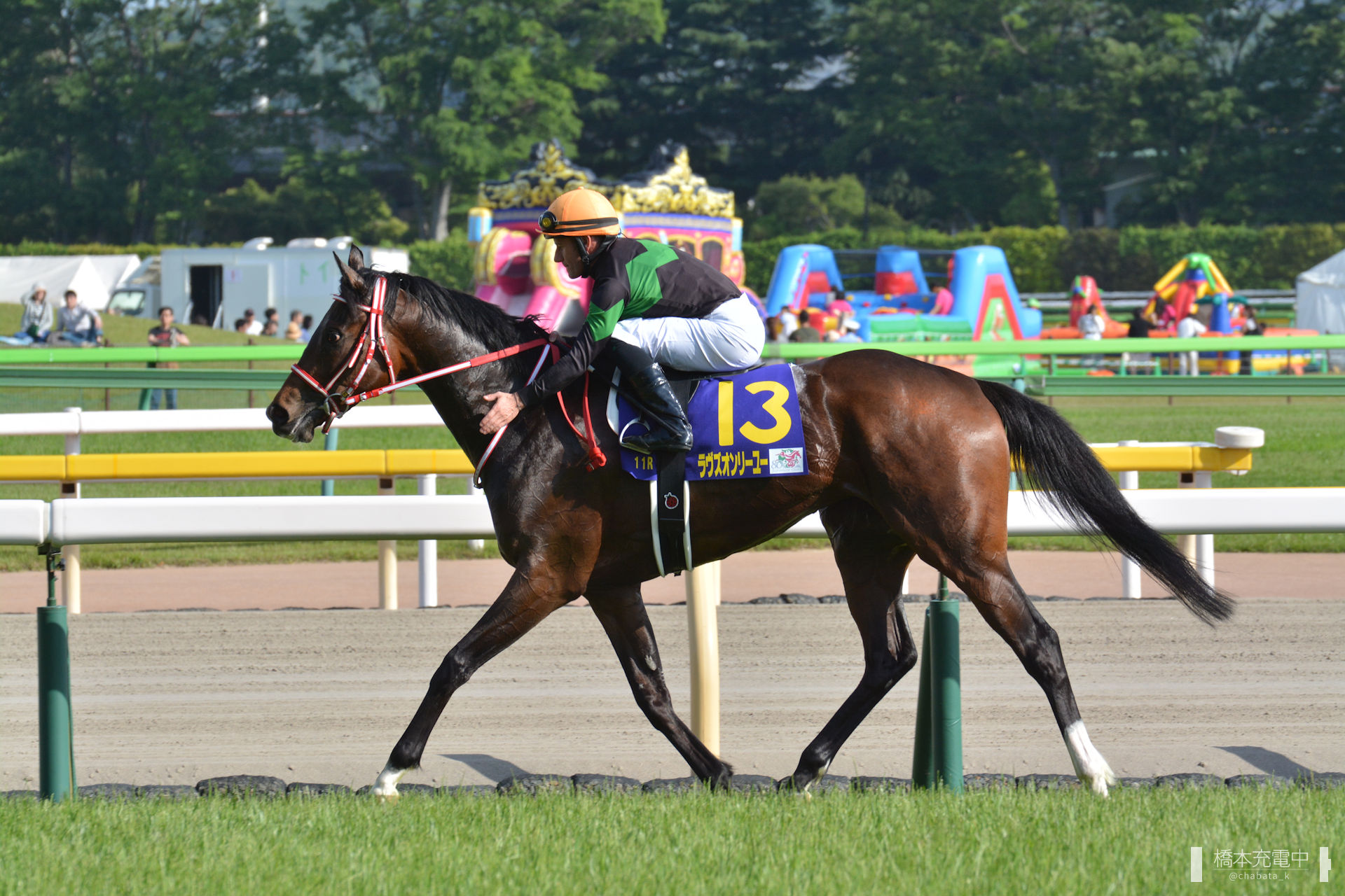 ラヴズオンリーユー　19年　オークス　現地的中単勝馬券 ラヴズオンリーユー 19年 オークス 現地的中単勝馬券 ラヴズ