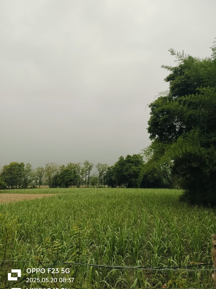 हमारे यहां का मौसम बहुत सुहाना है आज, बहुत तेज बादल उठ रहा है लगता है बारिश आएगी जोरों से