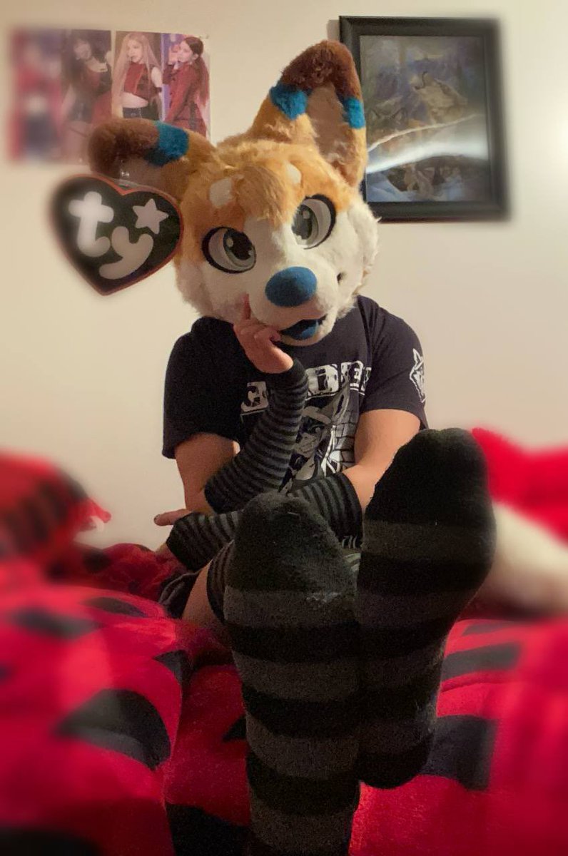 Keep hearing it’s Pawday

Uhh….I have bean socks, there’s my contribution lol 😅

Also a non bean pic cuz I’m a baddie rebel bean &gt;:3