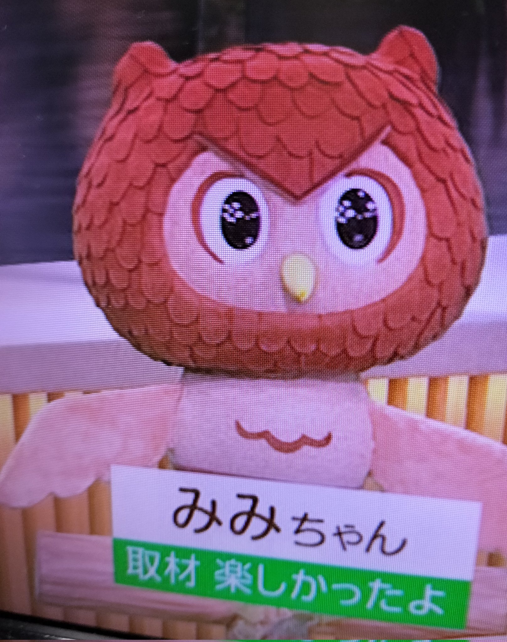 up10tion みみちゃん カラコンだけブチこんでねえねとデートしてきた( ˙᷄ỏ˙᷅