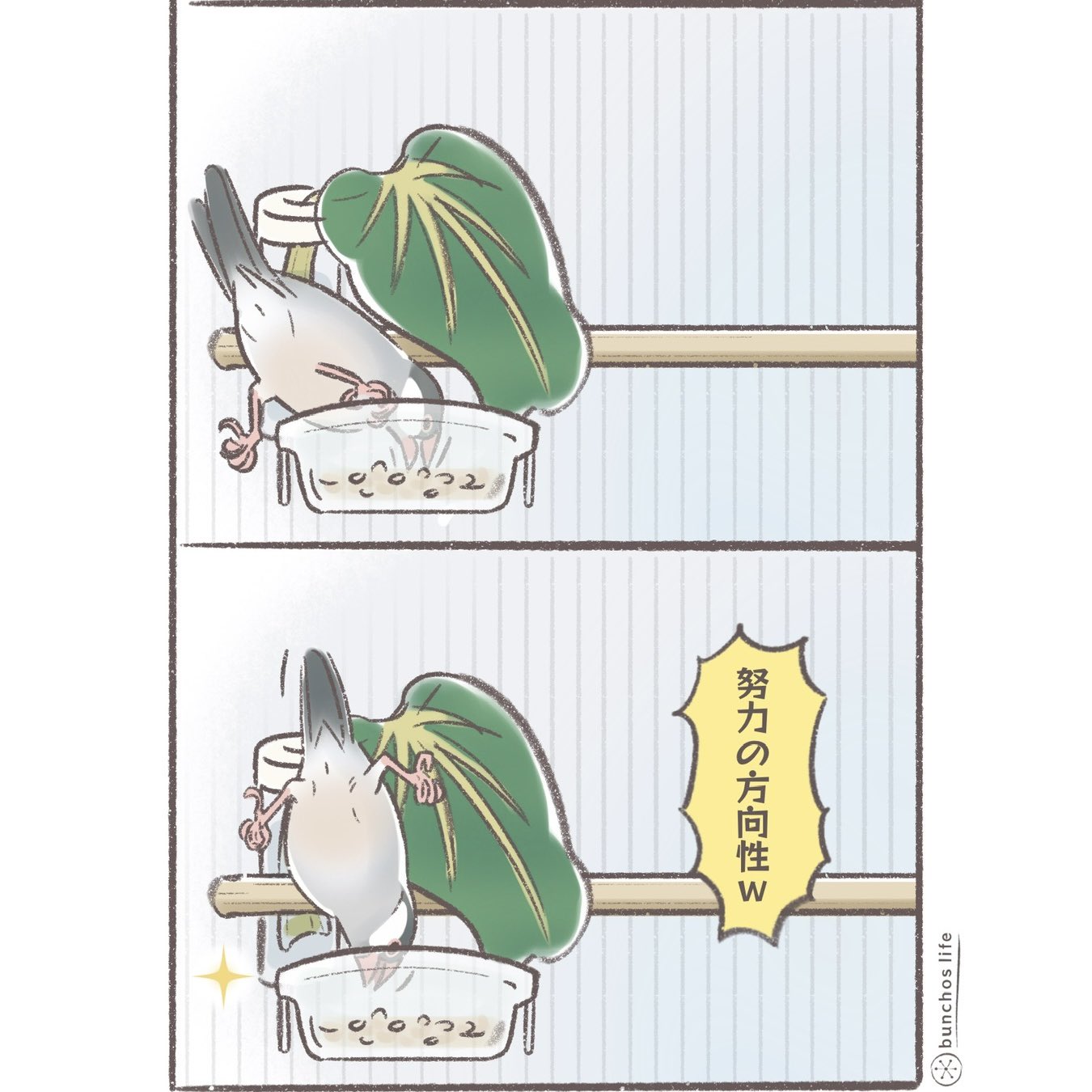 こむぎ🕊️ (@komugi_chan55) / X