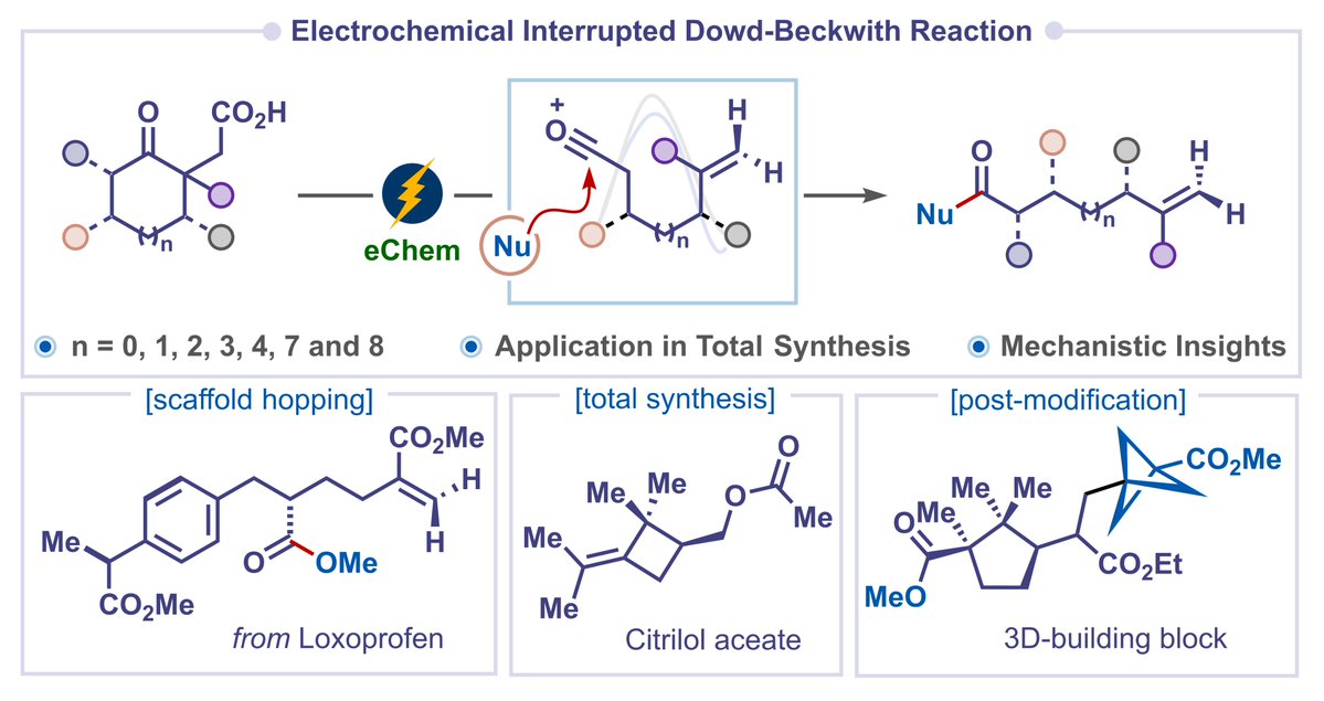 HariGroupIISc's tweet image. Deconstruction of Cyclic Ketones: Our work on the electrochemical interrupted Dowd–Beckwith reaction for deconstructive functionalization of cyclic ketones is out in @angew_chem. Thanks to @iiscbangalore and @ANRFIndia for the financial support.
onlinelibrary.wiley.com/doi/abs/10.100…