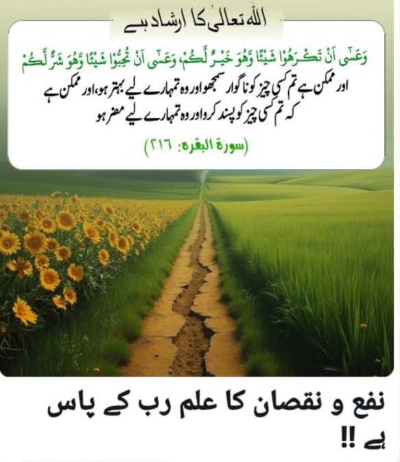 muhammad amir tweet media