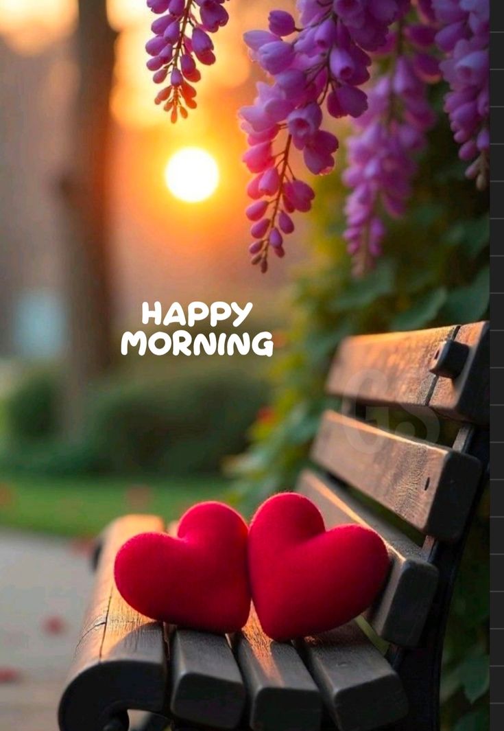 Assalam o Alaikum 
Good Morning 🌄 
Have a lovely day