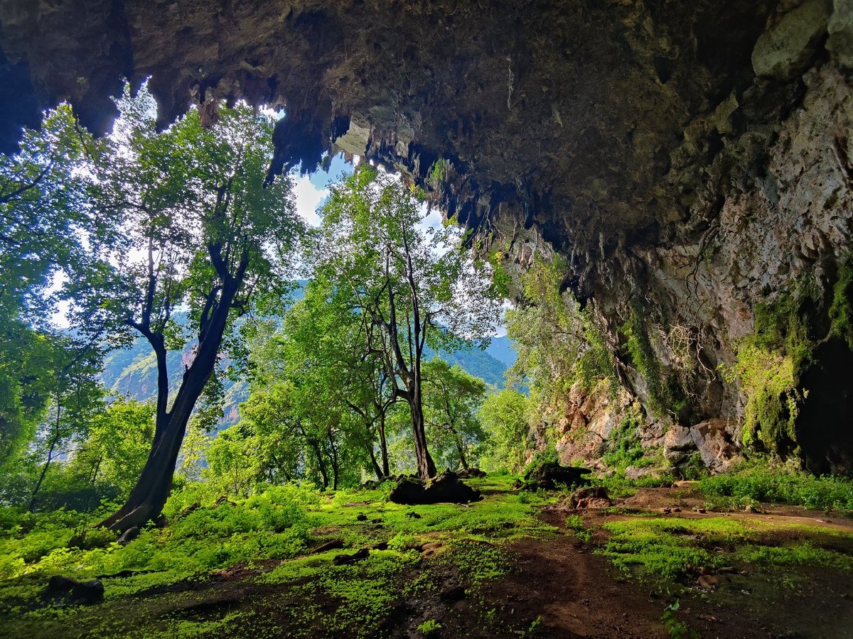 三个基督徒漂到荒岛上，半年后他们建立了教会，过着安稳的生活。三个罪犯漂到荒岛上，半年后他们独立建国，国家逐步发达起来。三个共产党漂到荒岛上，半年后一个被斗死了，另两个相互指责对方背叛了革命。