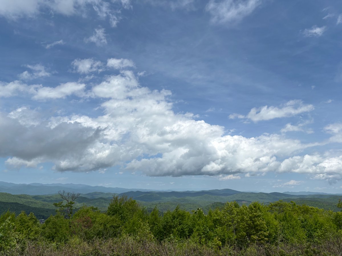 Random Dude tweet media