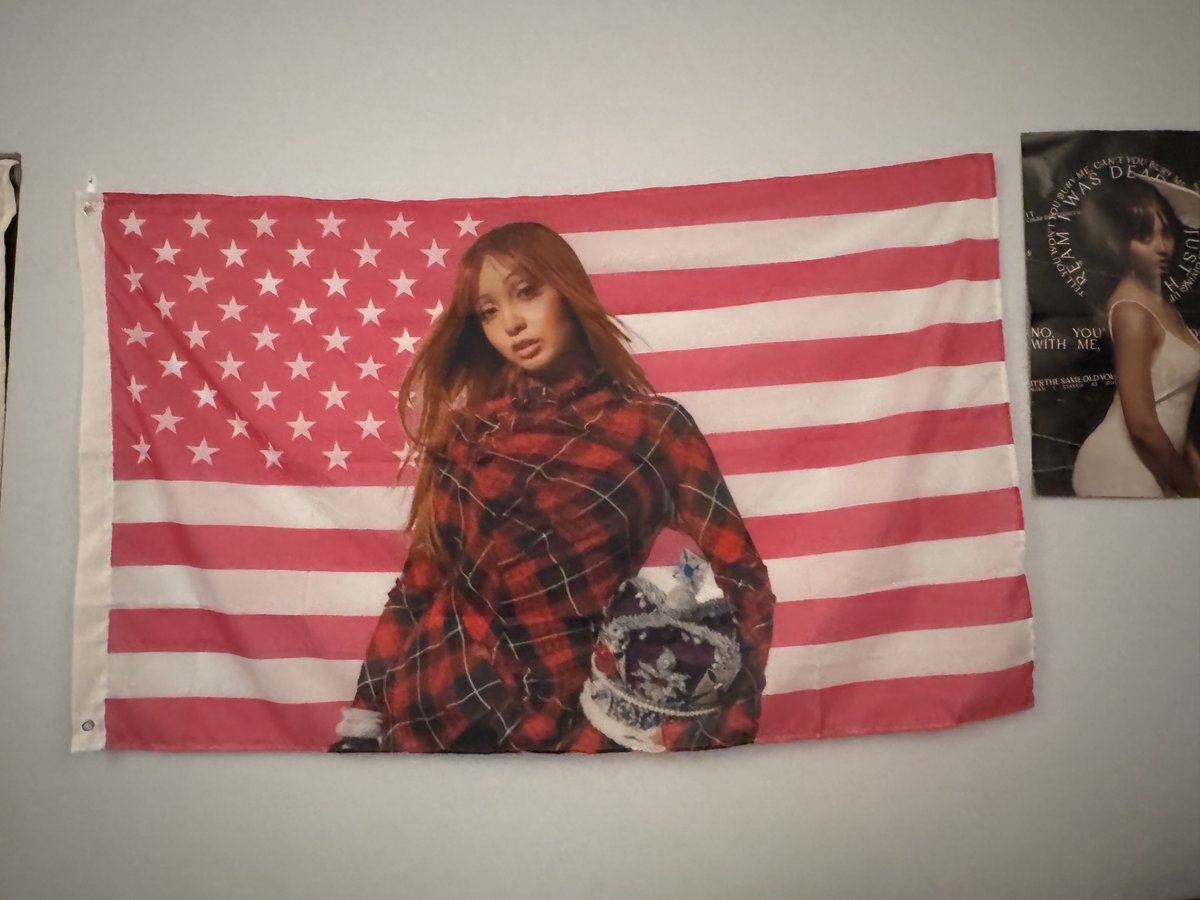 pinkpantheress flag came 💘