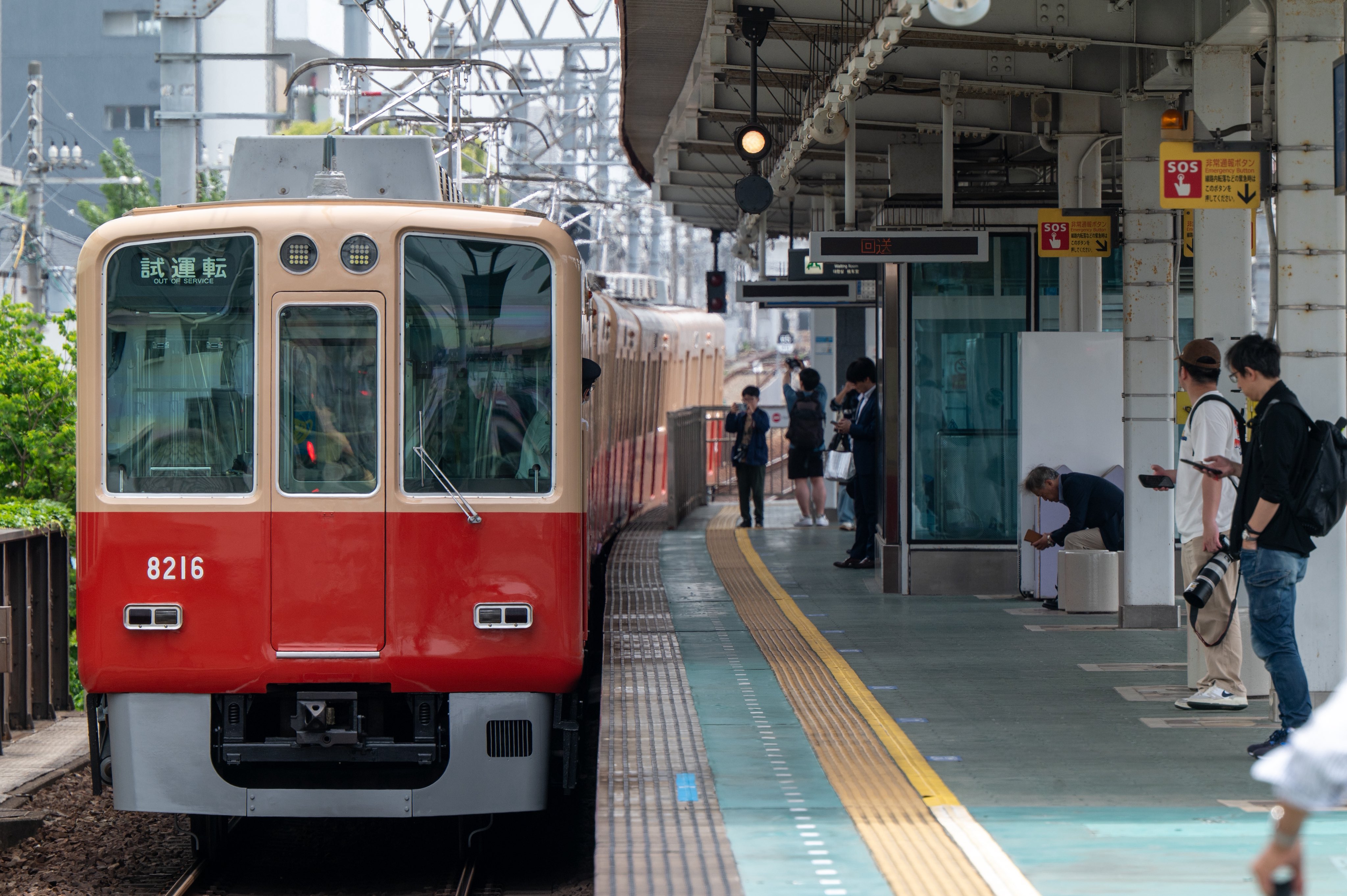 阪神番号板3111先頭車