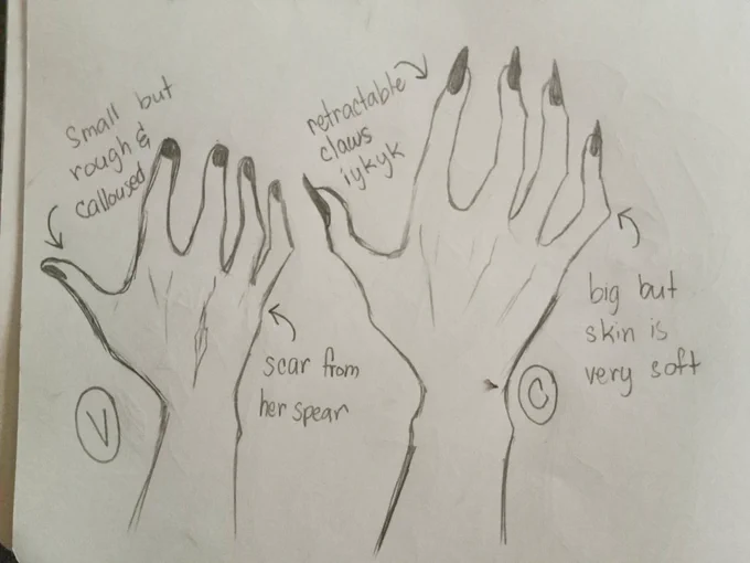 I'm bored. Chaggie anatomy idk 