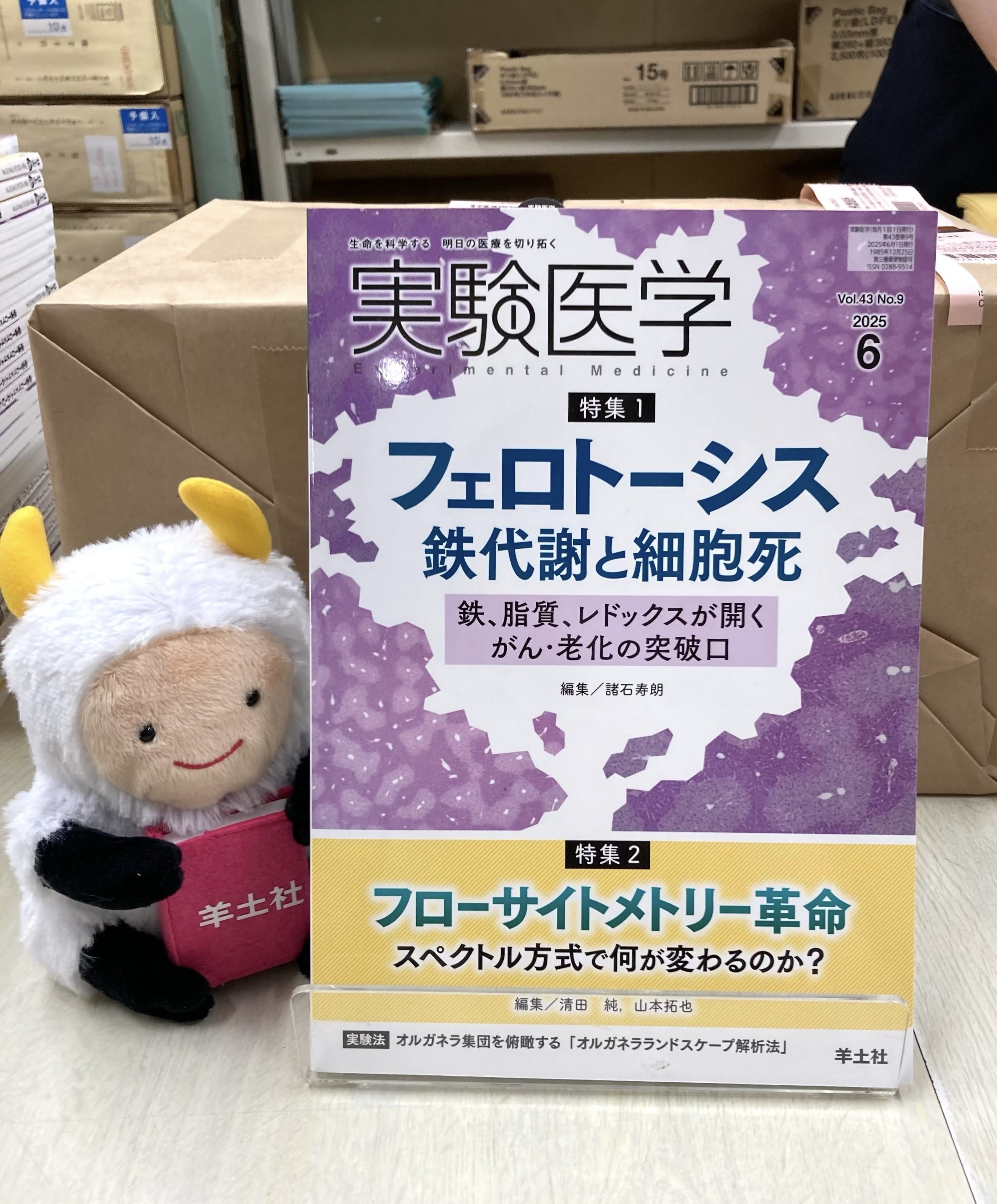 本物の 実験医学 羊土社 on  X: 語学+参考書