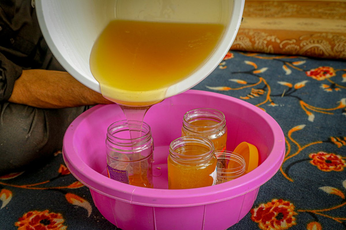 FAO in Afghanistan (@faoafghanistan) on Twitter photo On #WorldBeeDay, we celebrate the vital role of bees in biodiversity, food security, and ecosystem health.
<a href="/FAOAfghanistan/">FAO in Afghanistan</a> distributed 1 645 beekeeping packages in 2024. 🐝
Read how Ruhnama turned honey into a thriving business. fao.org/afghanistan/ne…
#SavetheBees On #WorldBeeDay, we celebrate the vital role of bees in biodiversity, food security, and ecosystem health.
<a href="/FAOAfghanistan/">FAO in Afghanistan</a> distributed 1 645 beekeeping packages in 2024. 🐝
Read how Ruhnama turned honey into a thriving business. fao.org/afghanistan/ne…
#SavetheBees