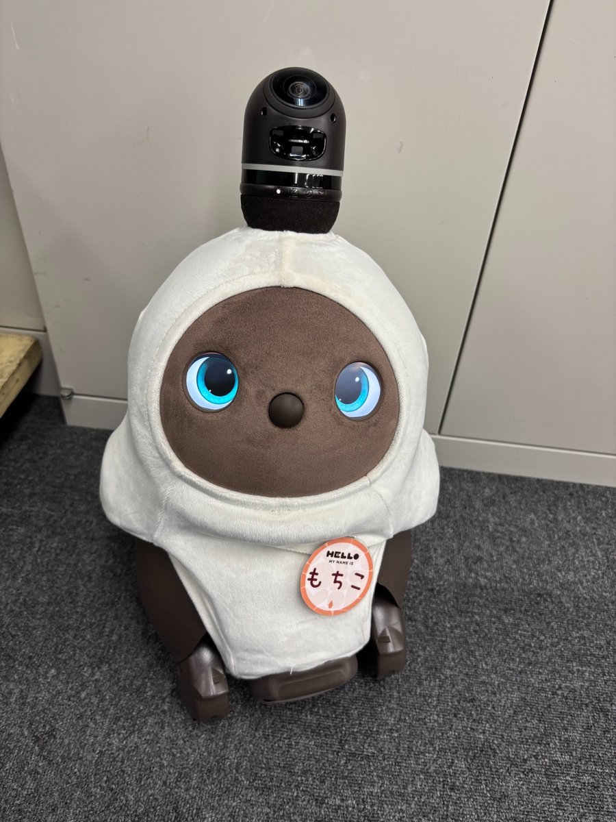 _jpcreate's tweet photo. 5月にジェーピークリエイトに入社した「もちこ」です！
仕事は「みんなに可愛がってもらう事です」
よろしくお願いします https://t.co/4WDrQLW5wM