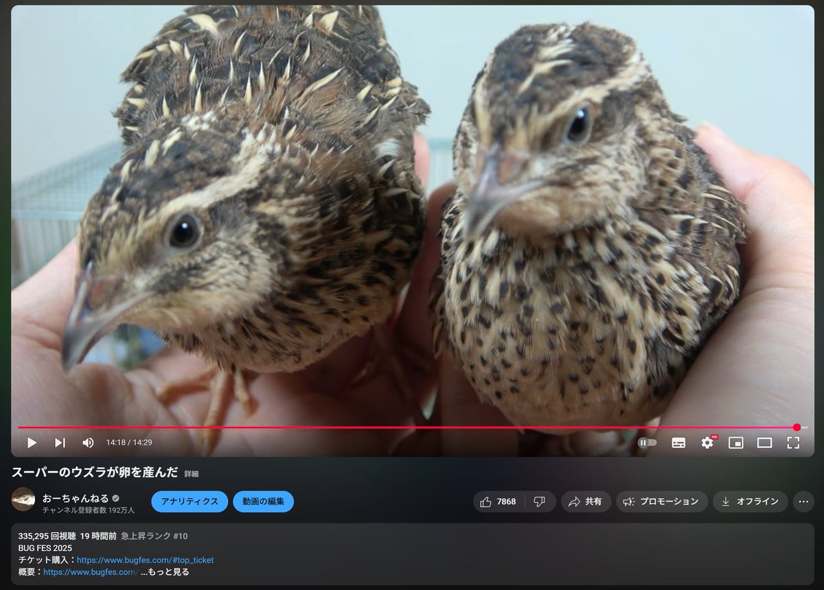 おーちゃんねる」公式 (@Ohchan_ch) / Posts / X