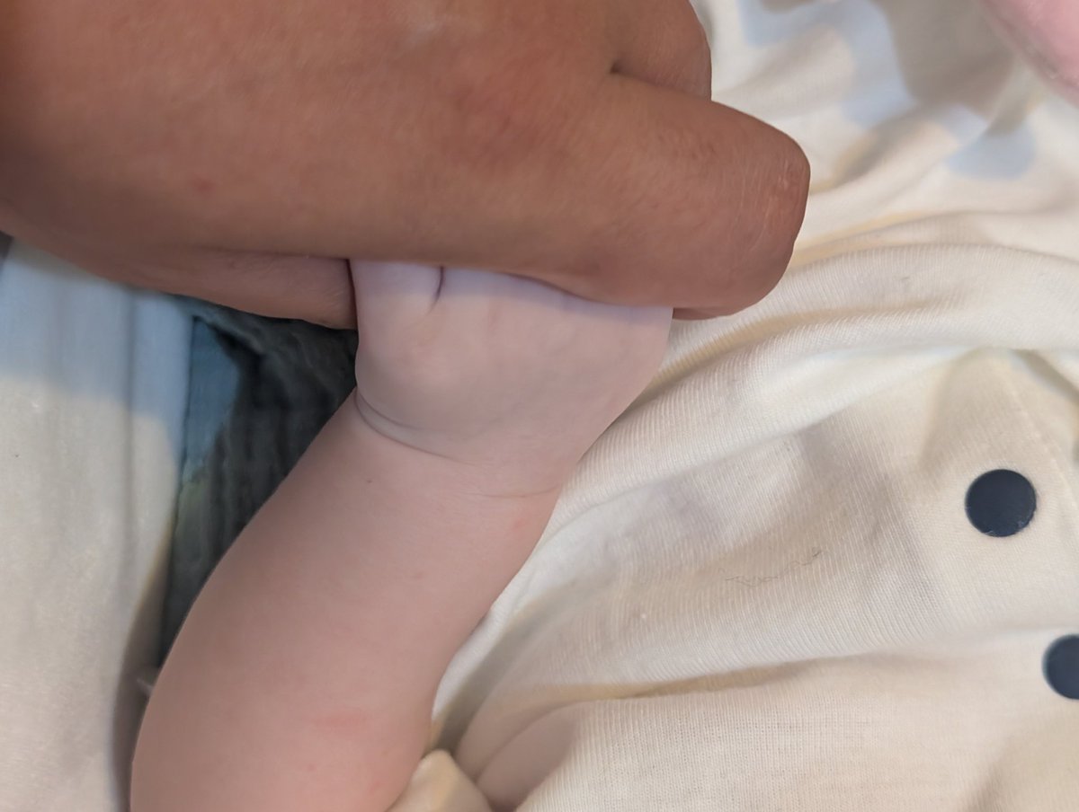 偷牽上輩子的情人