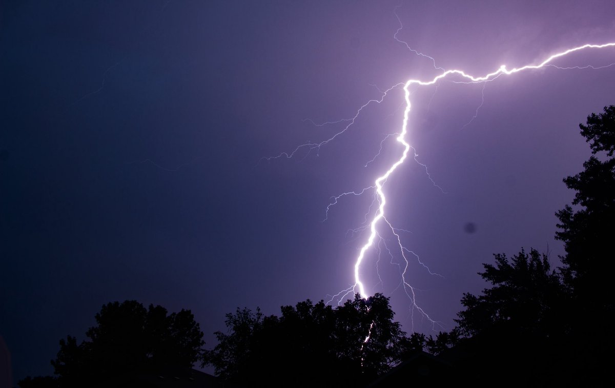 CameraCayden's tweet image. my catches the last two days