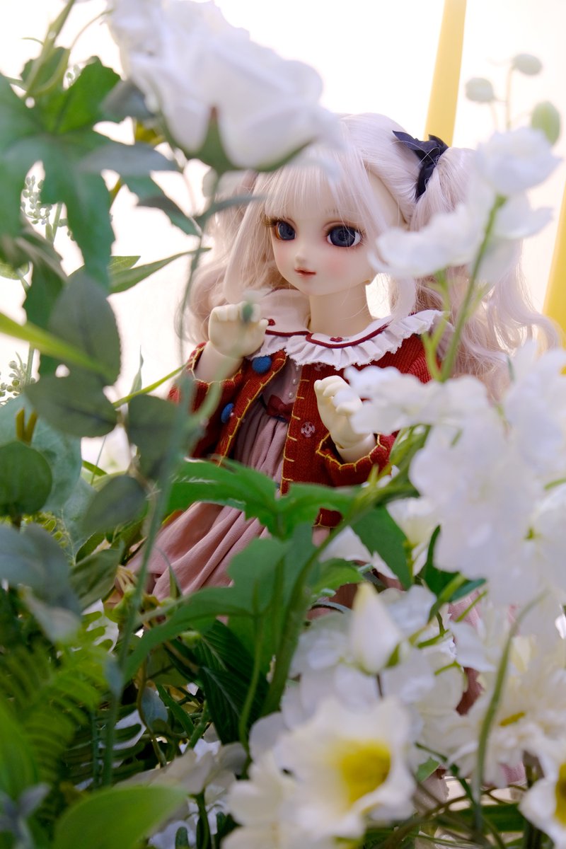 저번엔 제리님댁 33이랑 울집 마이 레나랑 맞춰입었었는데 이번엔 귀염냥이 베이글양과 함께 페어룩🥰🥰🥰🥰🥰