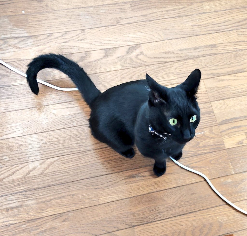 やまたか趣味垢 on X: 