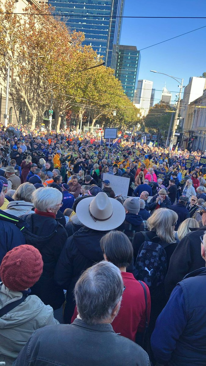 Tyler Nelson tweet media