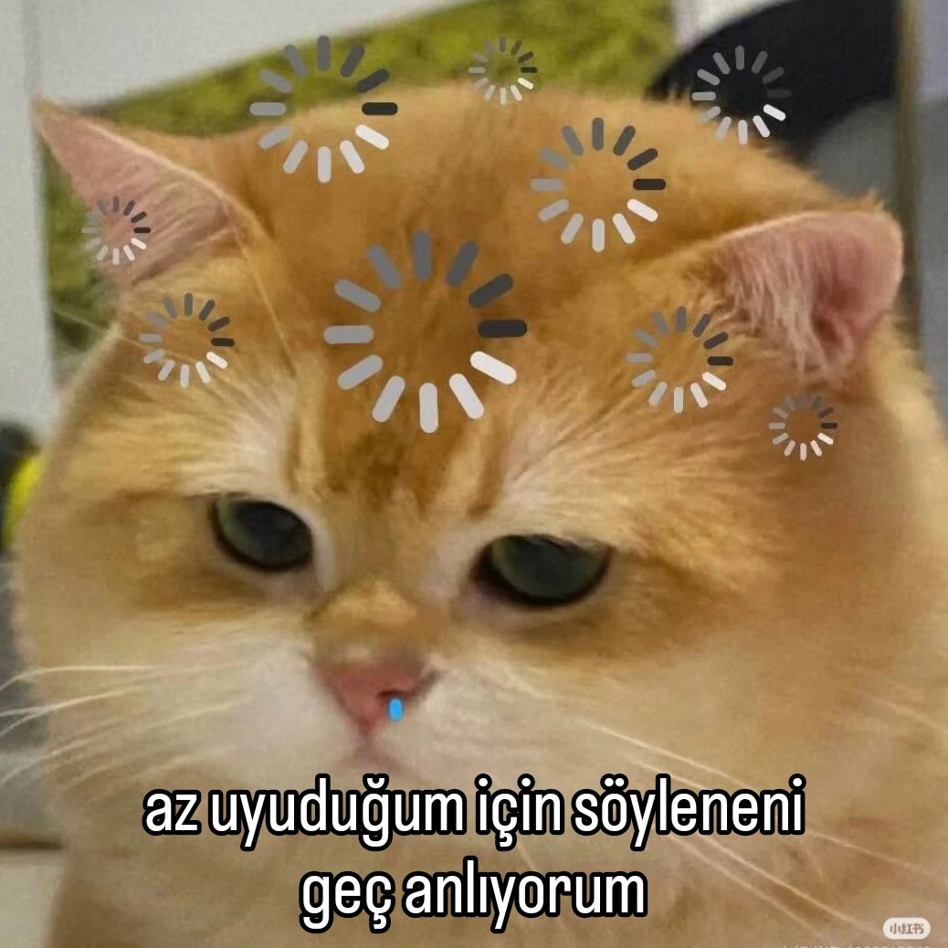 ANLIK (@anlikmod) on Twitter photo 