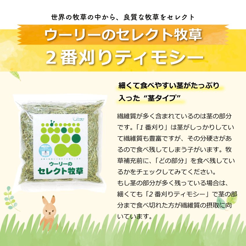 WOOLY（ウーリー） ㅣ うさぎの食彩工房 tweet media