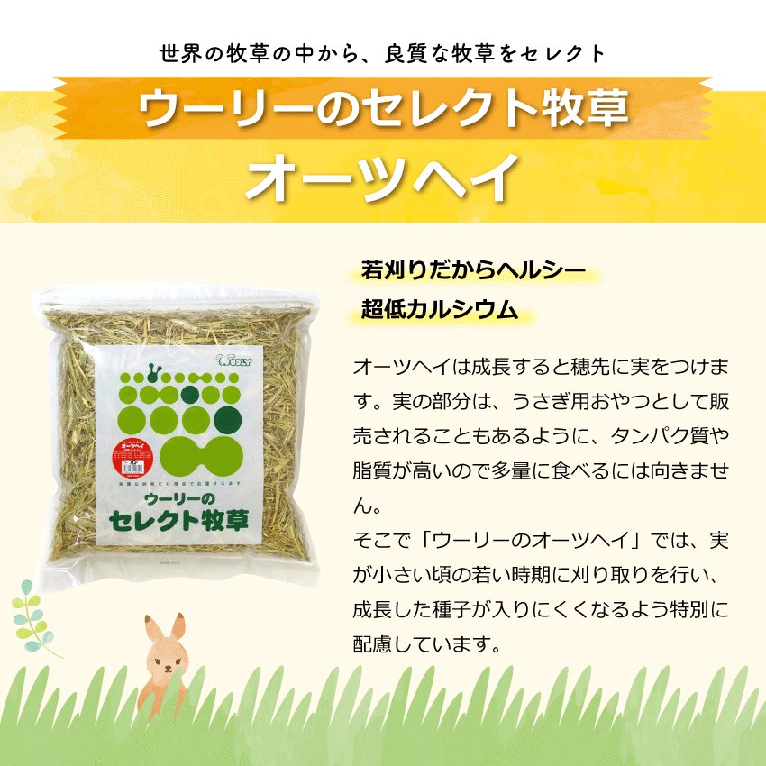 WOOLY（ウーリー） ㅣ うさぎの食彩工房 tweet media