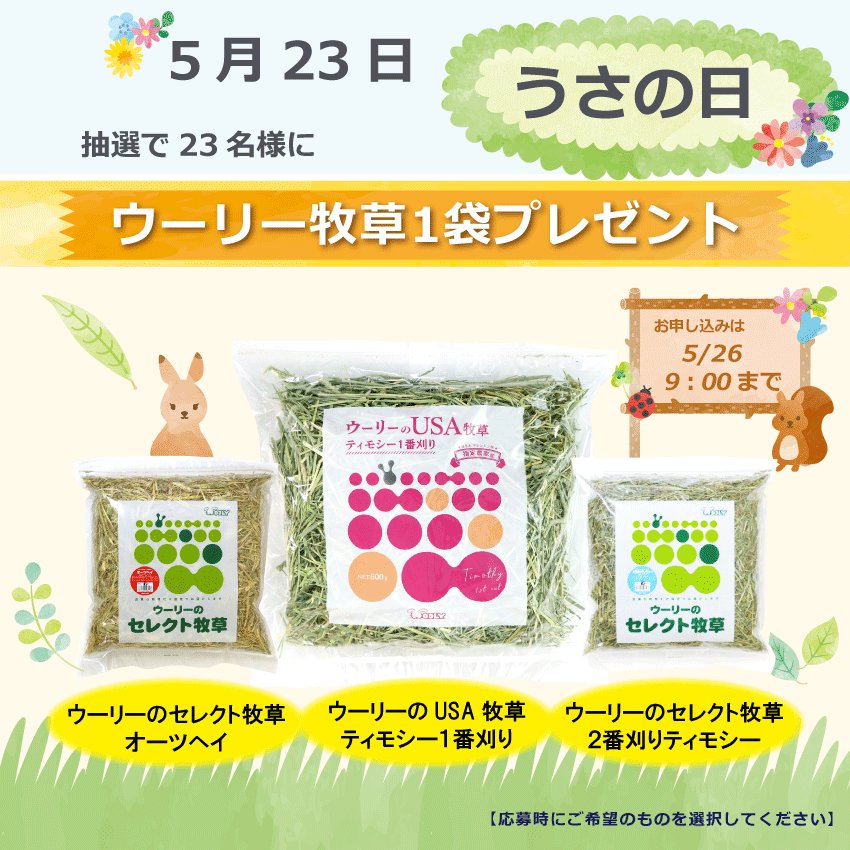 WOOLY（ウーリー） ㅣ うさぎの食彩工房 tweet media