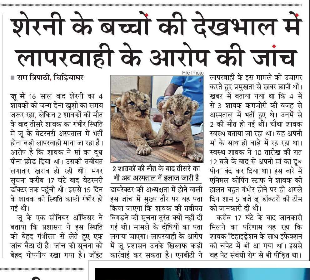 चिड़ियाघर गठन करने का उद्देश्य वन्य जीवों का संरक्षण है मगर दिल्ली चिड़ियाघर (नेशनल जूलॉजिकल पार्क) मैं यह विषय बेहद दयनीय। कोई जवाबदेही नहीं। टॉप ऑफिसर करे भी क्या। जब स्टाफ पूरा नहीं। और जो है उनमें से ज्यादातर को वन्यजीवों का अनुभव नहीं।
#WildlifeProtection <a href="/moefcc/">MoEF&CC</a> <a href="/CZA_Delhi/">Central Zoo Authority</a>