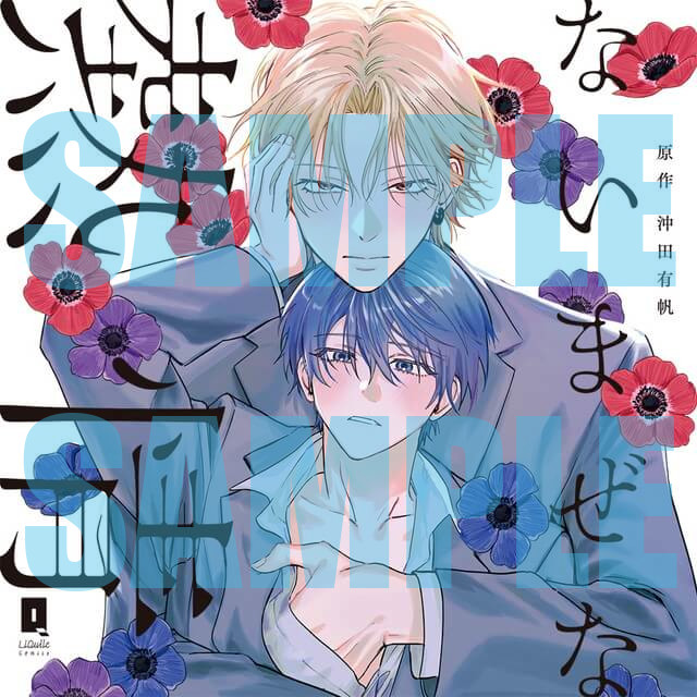 ミストニアの翅望 ステラワース特典 小冊子 | K-BOOKS 池袋 2