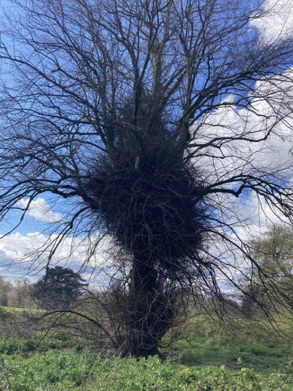 Summer 🌻 tweet media