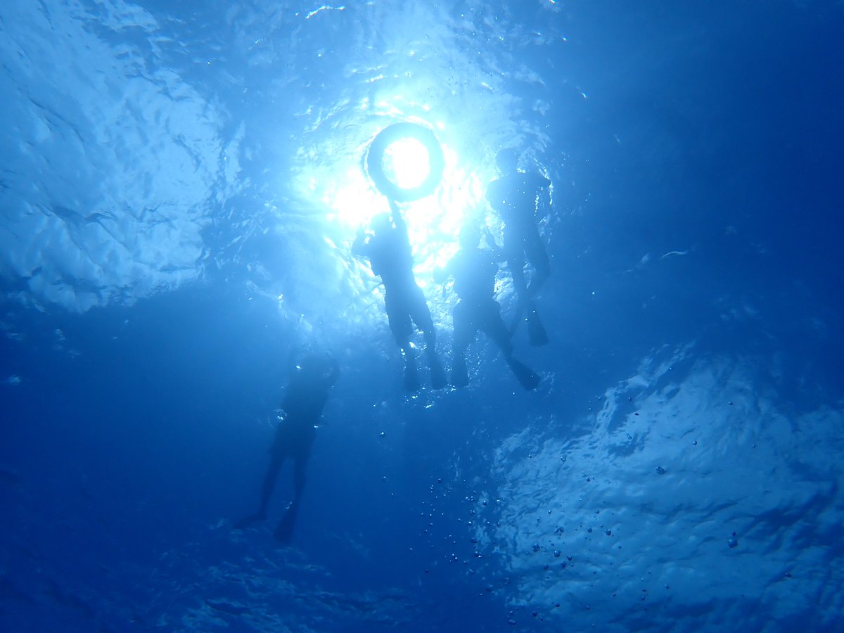 kicker296's tweet image. 