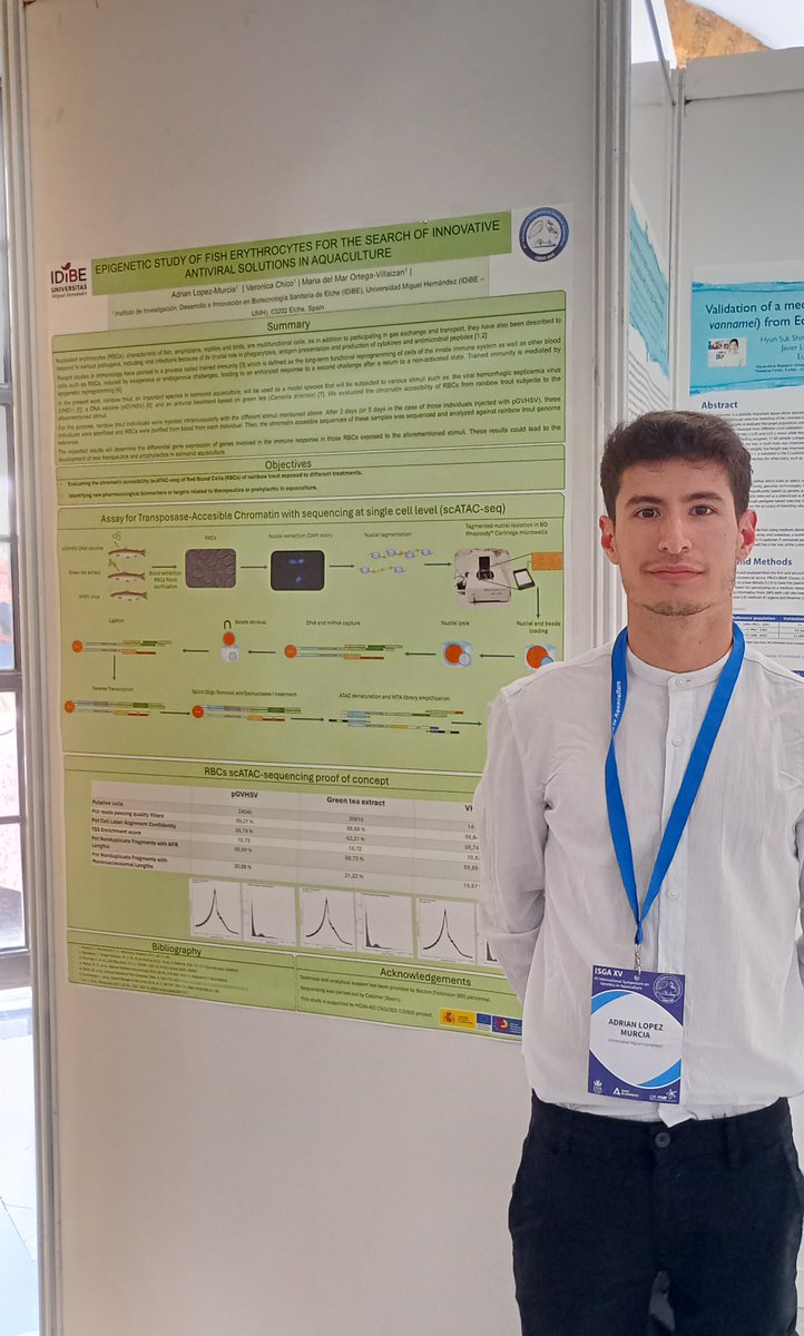 IDiBE_UMH's tweet photo. 📢 Mª del Mar Ortega-Villaizán y Adrián López han acudido al XV #ISGA en Cádiz organizado de manera conjunta entre la @univcadiz, @IfapaJunta y el @campusdelmar.
🗣️ Este simposio pone en conocimiento los descubrimientos más recientes en genética y genómica en acuicultura 🌍 https://t.co/1hBHZwnlHX