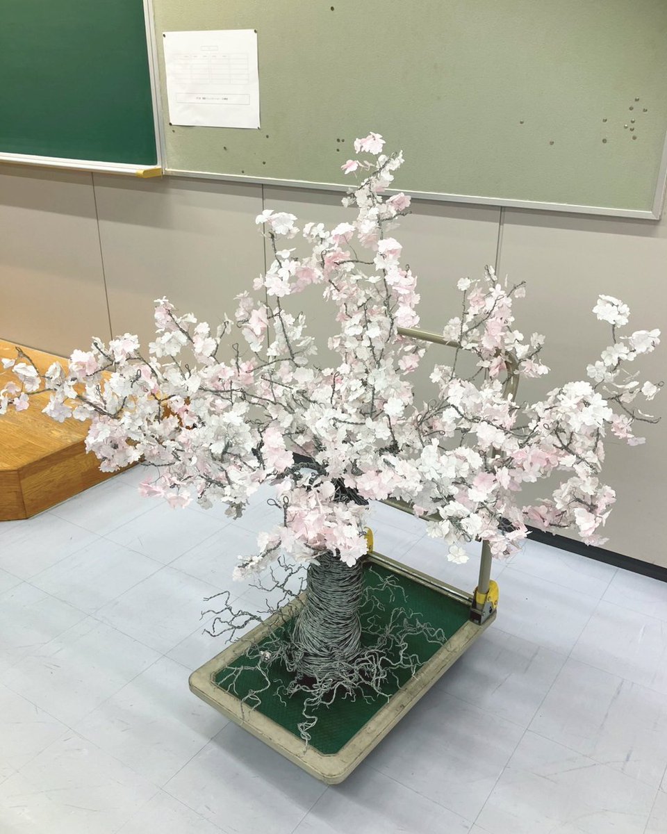 OhsuUniv's tweet photo. 先日１年生の「基礎作業学Ⅰ」の授業で、サクラテック株式会社と社会福祉法人慶生会から外部講師をお招きし、ワイヤーアートを体験しました！

学生はこの作業の特徴を分析し、作業療法でどのように治療として応用できるか考えます♪

完成したこの桜の木は、現在開催中の万博で展示される予定です🤗 https://t.co/CboeFqakDh