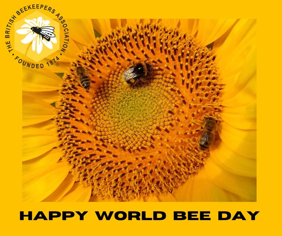 BBKA (@britishbee) on Twitter photo 