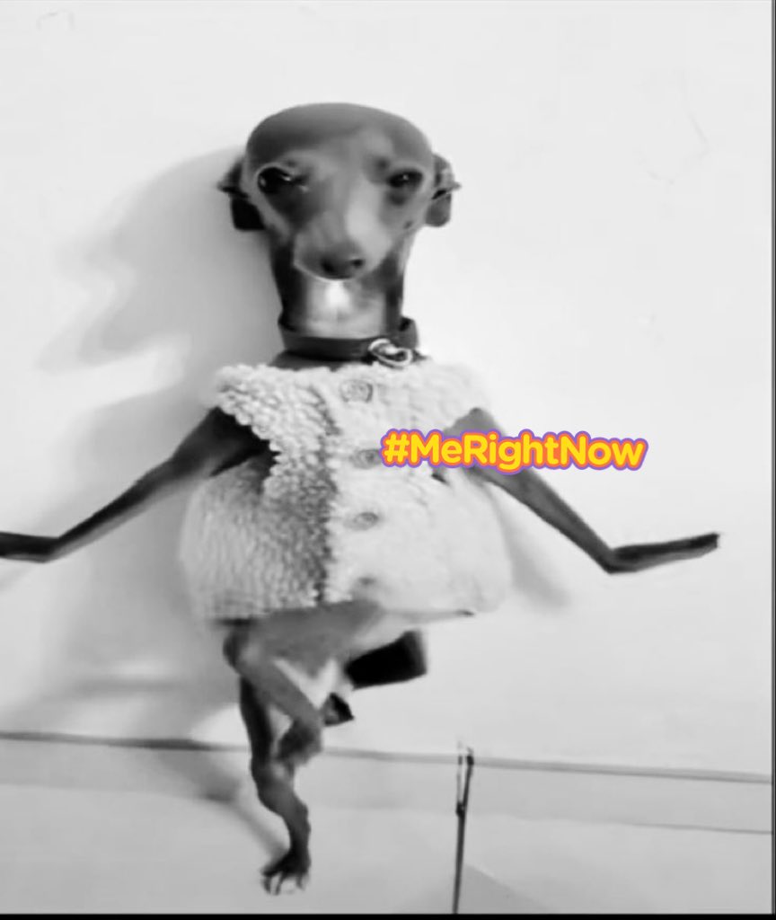 squibinator's tweet image. abandoned ship 4th #Mood