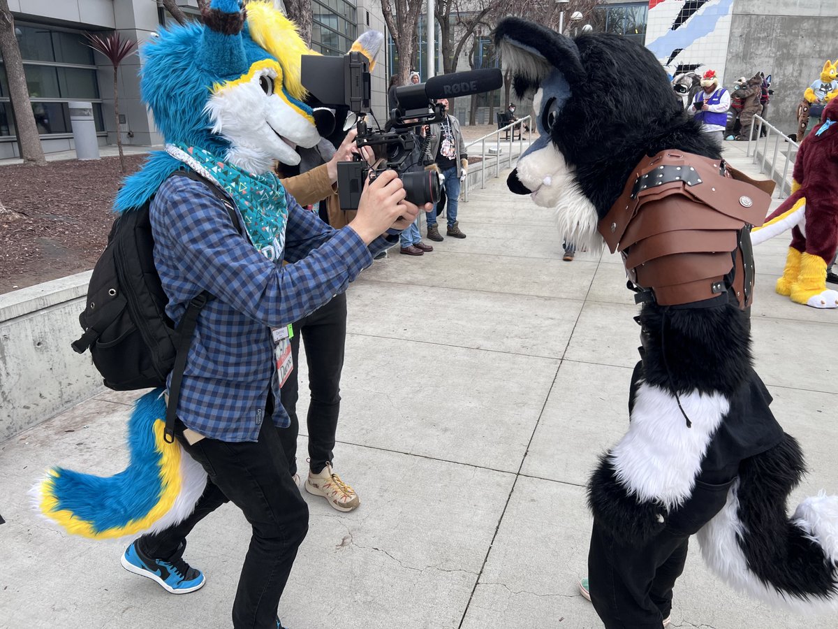 DannoDoggo's tweet photo. Smile for the camera! #furry #furryfandom https://t.co/KL31zi3O4a