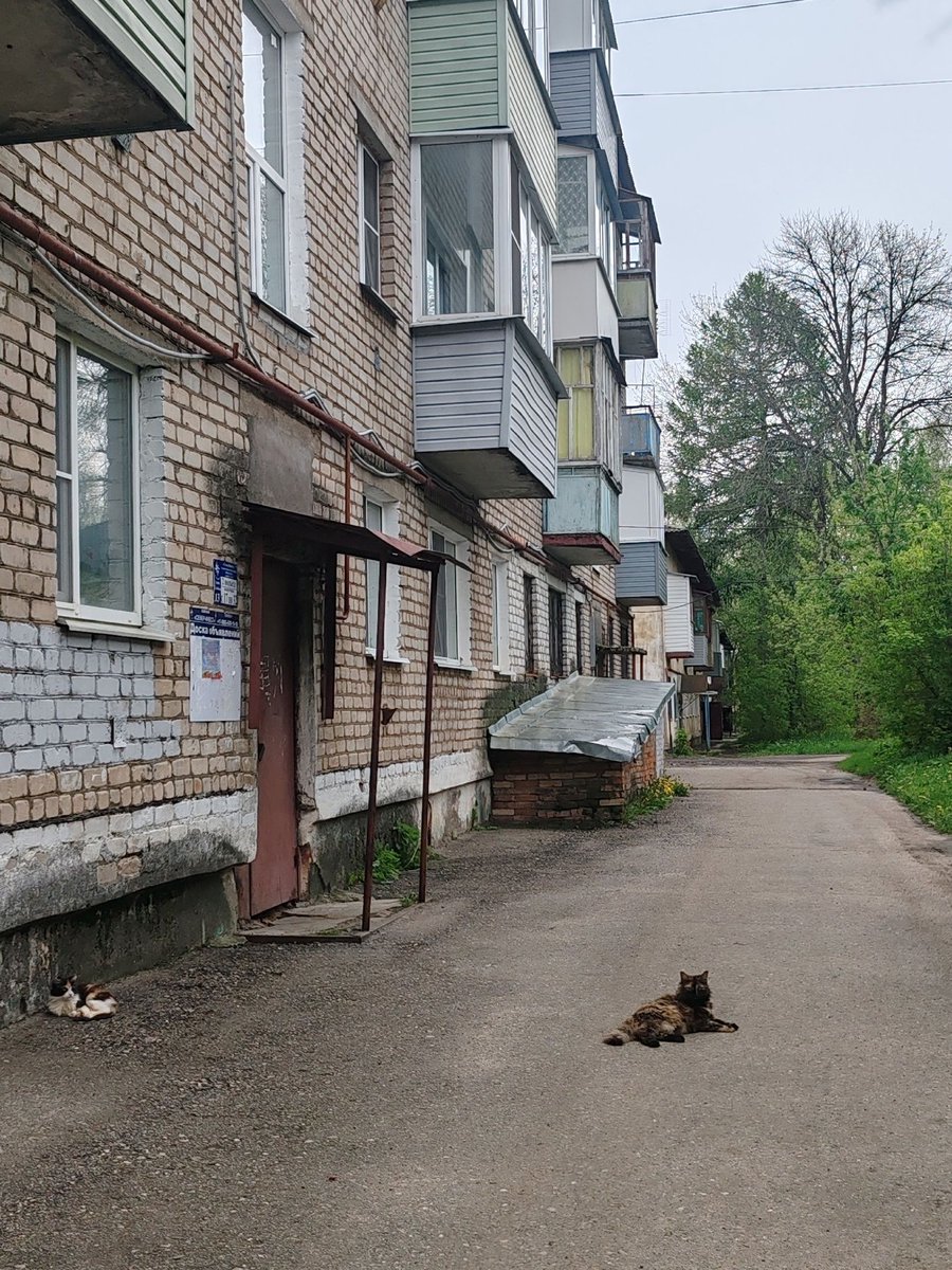 посёлок Константиновский, Ярославская область

фото: Полина Лапик