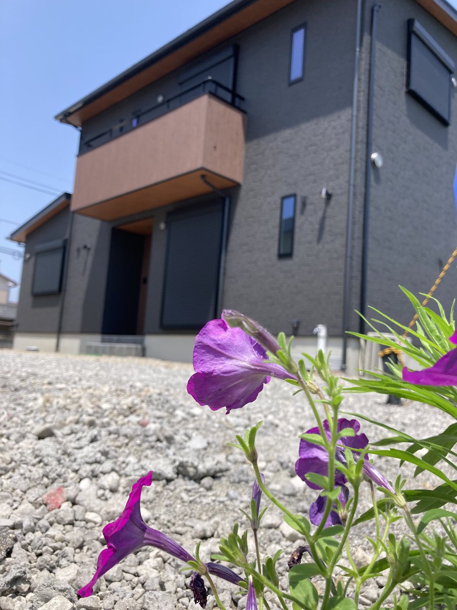 mamoru_kensetsu's tweet photo. #まもる建設
#素敵なお家  
#完成間近
#ユニバーサル仕様
#徳島県家づくり https://t.co/mSR75jOkhJ