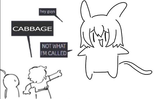 MizuTwo's tweet image. I’M A CABBIT NOT CABBAGE !!