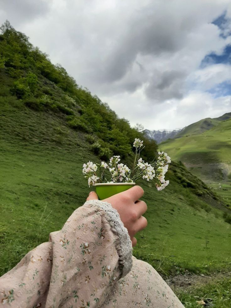Selâmün Aleyküm bizim mahalle 

Bugünümü dünden, yarınımı bugünden hayırlı kıl Allah'ım 

Hayırlı sabahlar 
#günaydın güneşli #salı sabahından