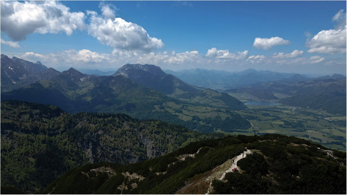 Johannes Kirnberger tweet media