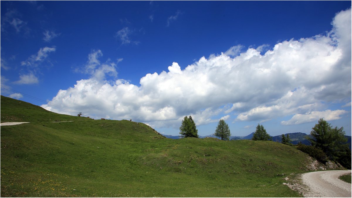 Johannes Kirnberger tweet media