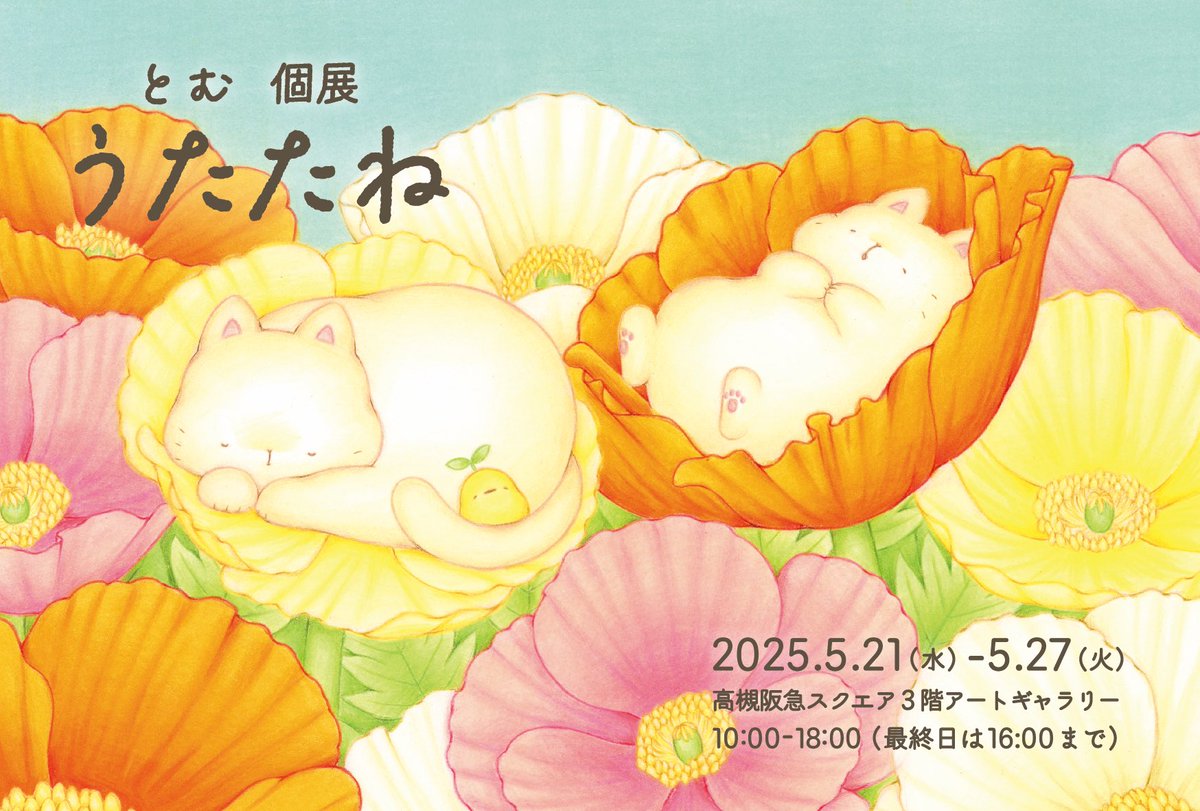 Tom_mochineko's tweet photo. \ いよいよ明日から！！ /

【とむ 個展 「うたたね」】
場所🔸高槻阪急スクエア3階アートギャラリー
��間🔸5/21(水)〜27(火)
時間🔸10:00〜18:00（最終日は16:00まで）
⚠︎高槻阪急の営業時間は20:00までですが、ギャラリーは18:00までですのでご注意ください

⚠︎初日について⚠︎
初日の開場から20分程度、原画の購入順を決める整理券を配布します。
⚫︎ご来場順にお一人様1枚お渡しします。
⚫︎10:20ごろを目処に1番の方から購入希望の原画をお伺いします。
お時間いただきますが、全部揃った状態の鑑賞・写真撮影を楽しんでいただきたいためご了承ください。
⚫︎番号をお呼びした時点で購入希望の原画がお決まりでない場合、混雑状況によっては次の番号の方を先にお呼びする場合がありますのでご了承ください。
⚫︎ 原画の購入枚数に制限はございません。
⚫︎グッズは整理番号に関係なくいつでもお会計していただけます。